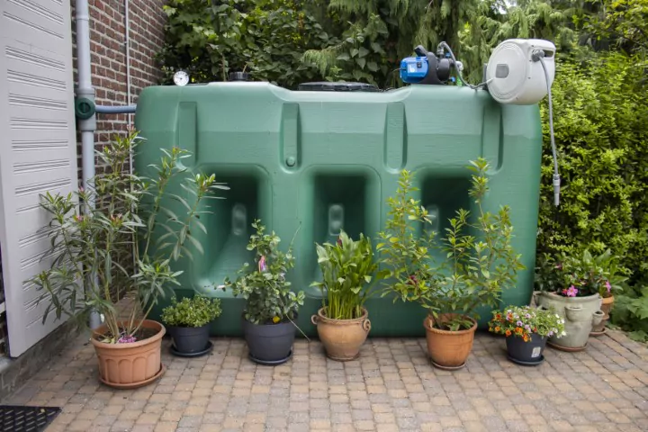 Citerne rectangulaire verte posée sur des pavés contre un mur, avec une pompe et un enrouleur de tuyau sur le dessus, entourée de plantes en pot