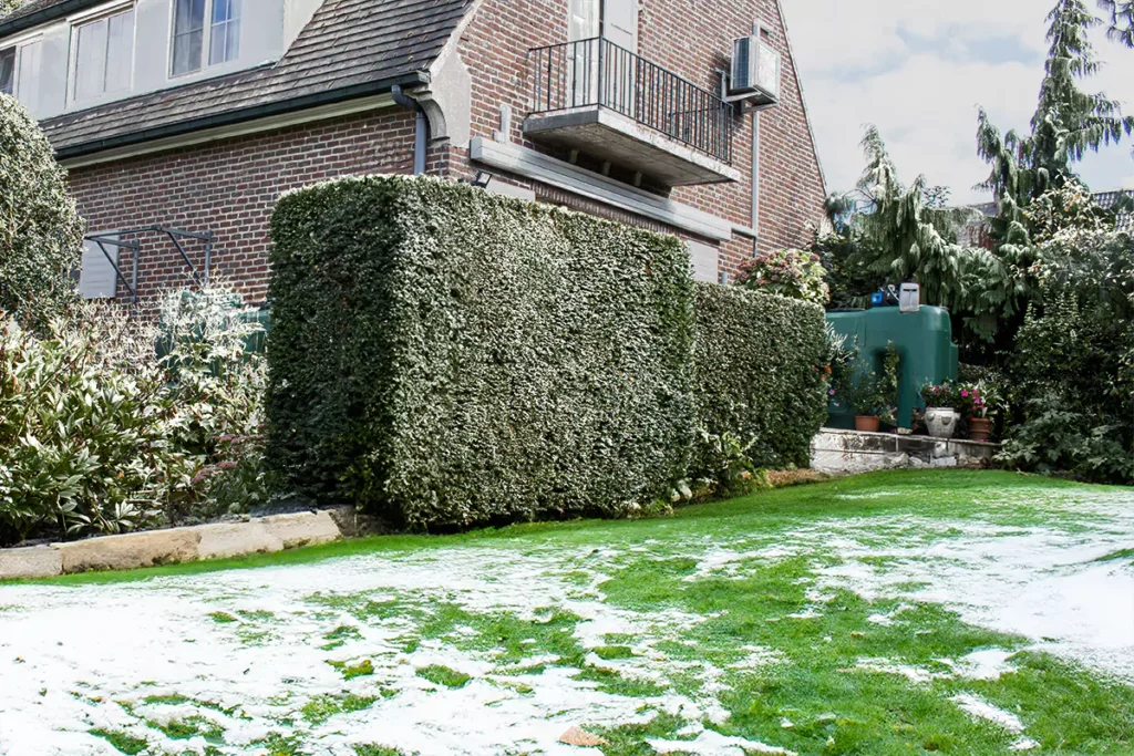 Citerne à eau de pluie verte hors sol au fond d’un jardin, à côté d’une haie, pelouse couverte de neige
